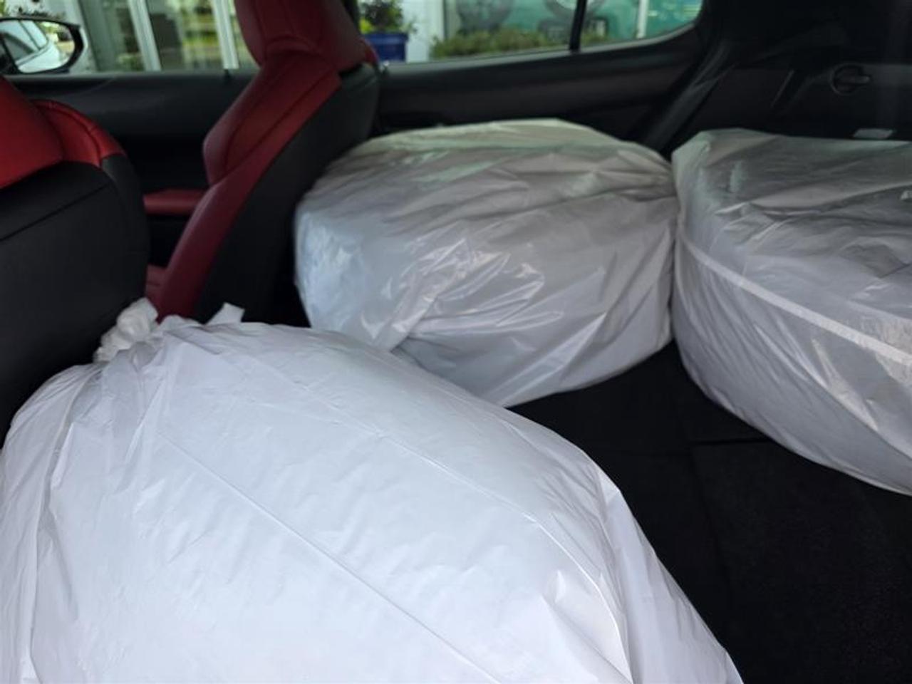2021 Lexus UX 250h AWD W/Winter wheel pkg Photo