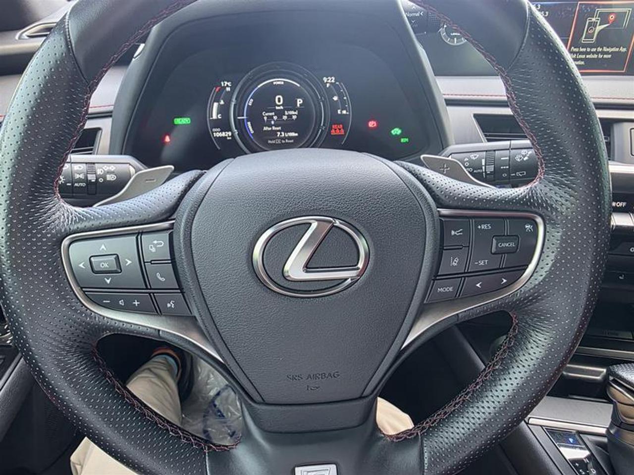 2021 Lexus UX 250h AWD W/Winter wheel pkg Photo