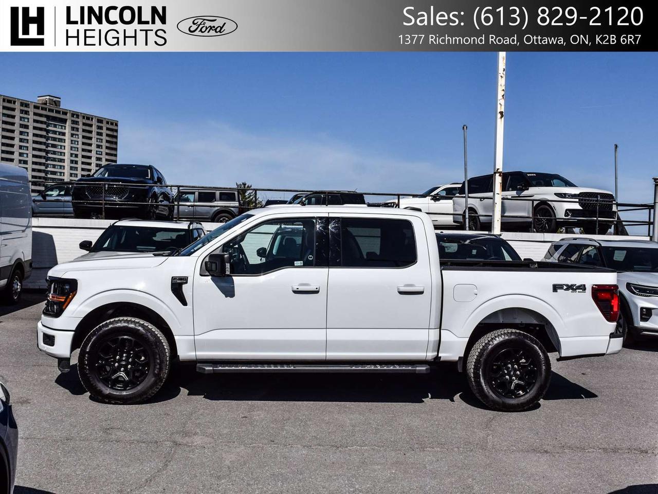 2025 Ford F-150  Photo