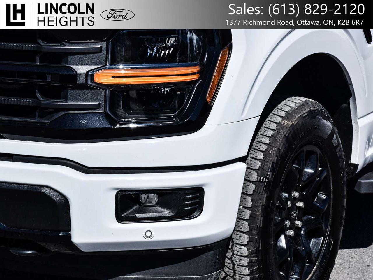 2025 Ford F-150  Photo