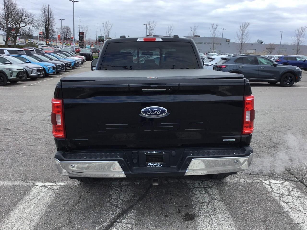 2022 Ford F-150  Photo