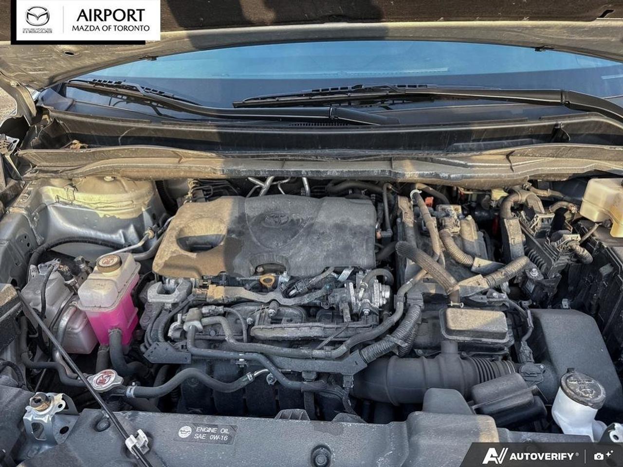 2024 Toyota Sienna XLE XLE  No Accident  1Owner  Finance Discount $15 Photo