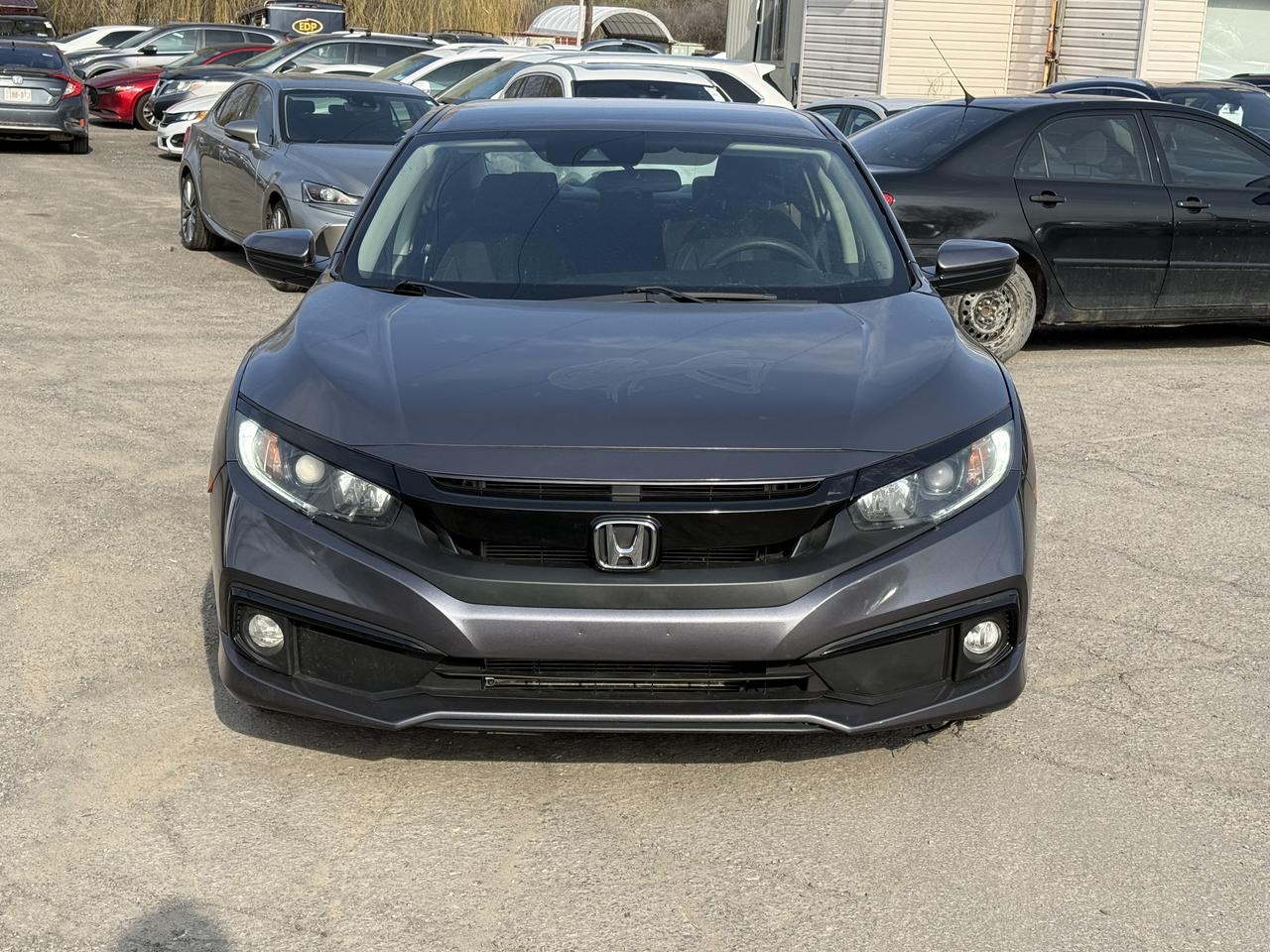 2019 Honda Civic LX Photo