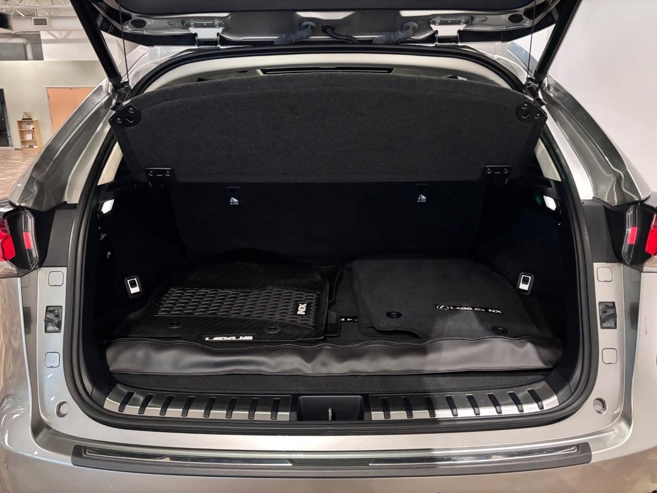 2018 Lexus NX 300h EXECUTIVE PACKAGE - 1 OWNER Photo