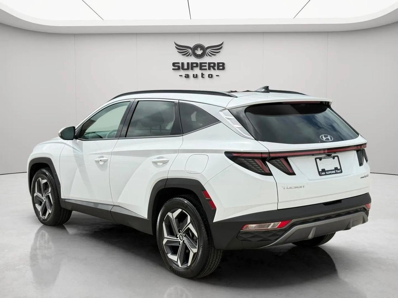 2024 Hyundai Tucson LUXURY   AWD   HYBRID   NO ACCIDENT   ONE OWNER Photo