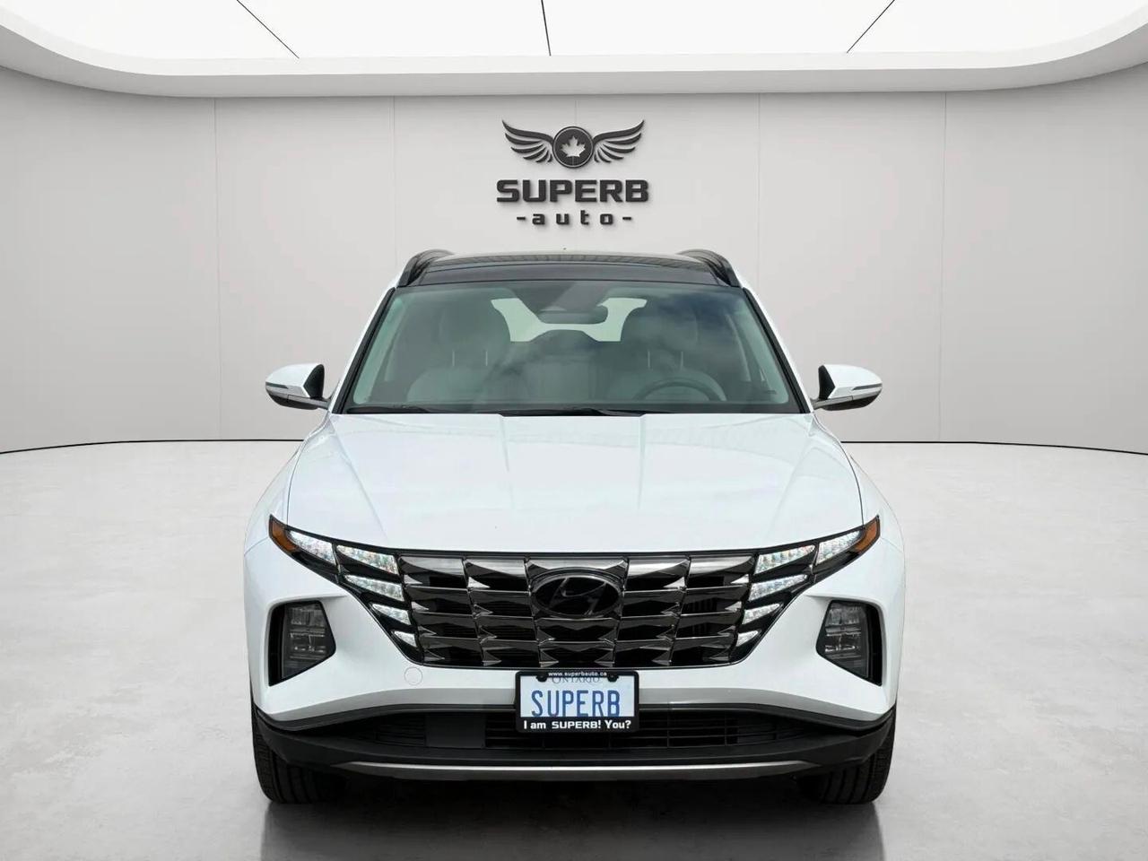 2024 Hyundai Tucson LUXURY   AWD   HYBRID   NO ACCIDENT   ONE OWNER Photo