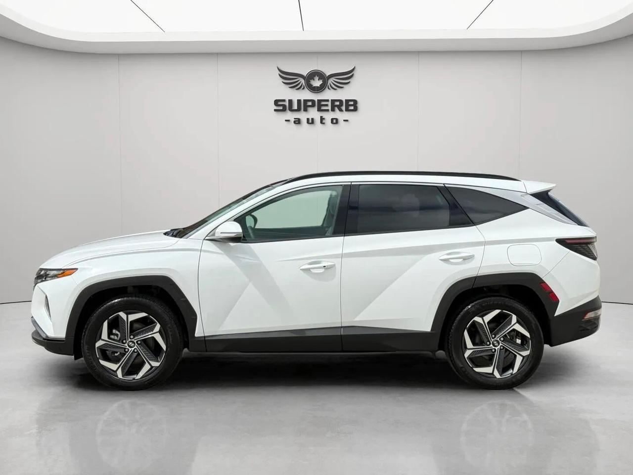 2024 Hyundai Tucson LUXURY   AWD   HYBRID   NO ACCIDENT   ONE OWNER Photo