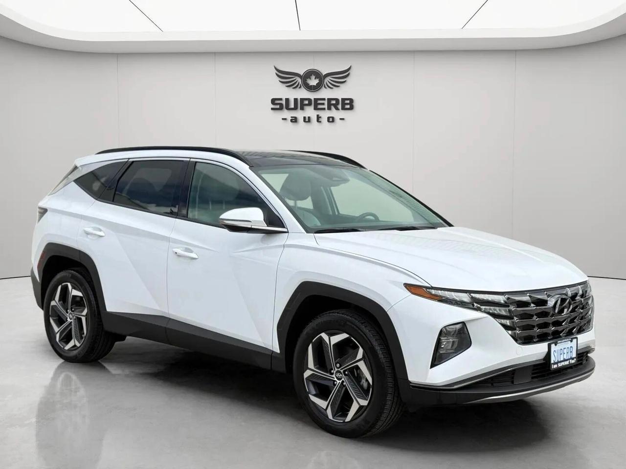 2024 Hyundai Tucson LUXURY   AWD   HYBRID   NO ACCIDENT   ONE OWNER Photo