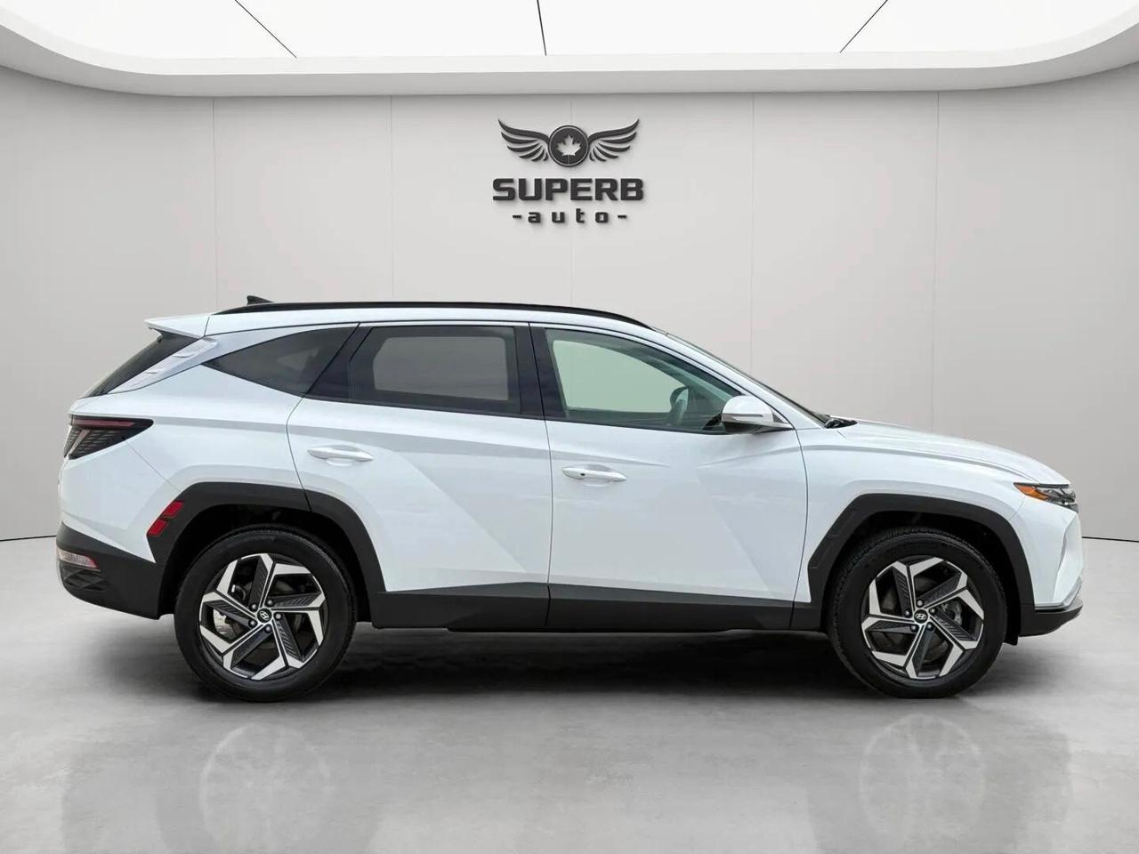 2024 Hyundai Tucson LUXURY   AWD   HYBRID   NO ACCIDENT   ONE OWNER Photo