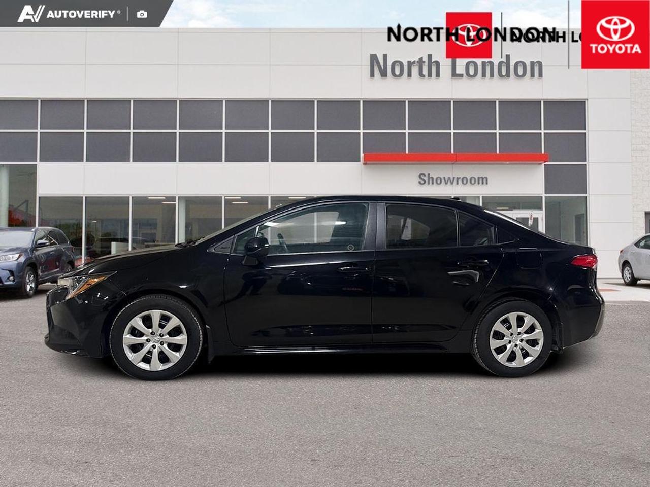 2024 Toyota Corolla  Photo