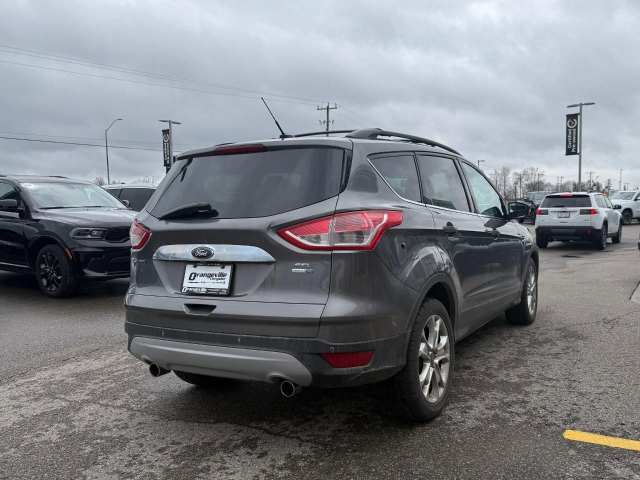 2013 Ford Escape  Photo