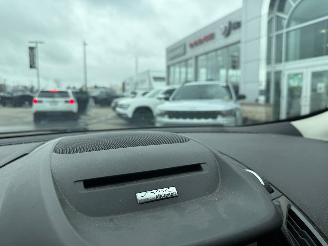 2013 Ford Escape  Photo