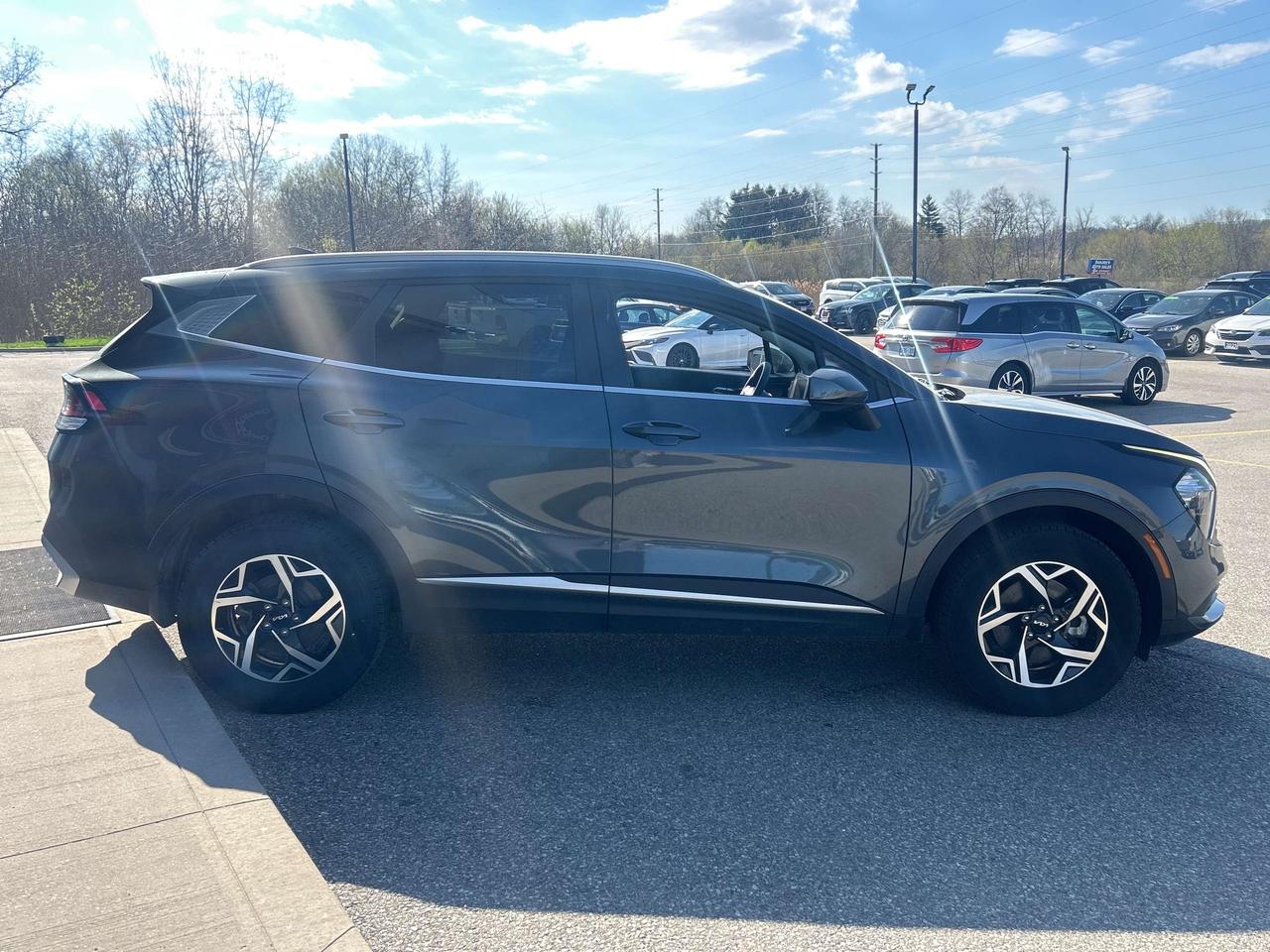 2024 Kia Sportage LX Photo