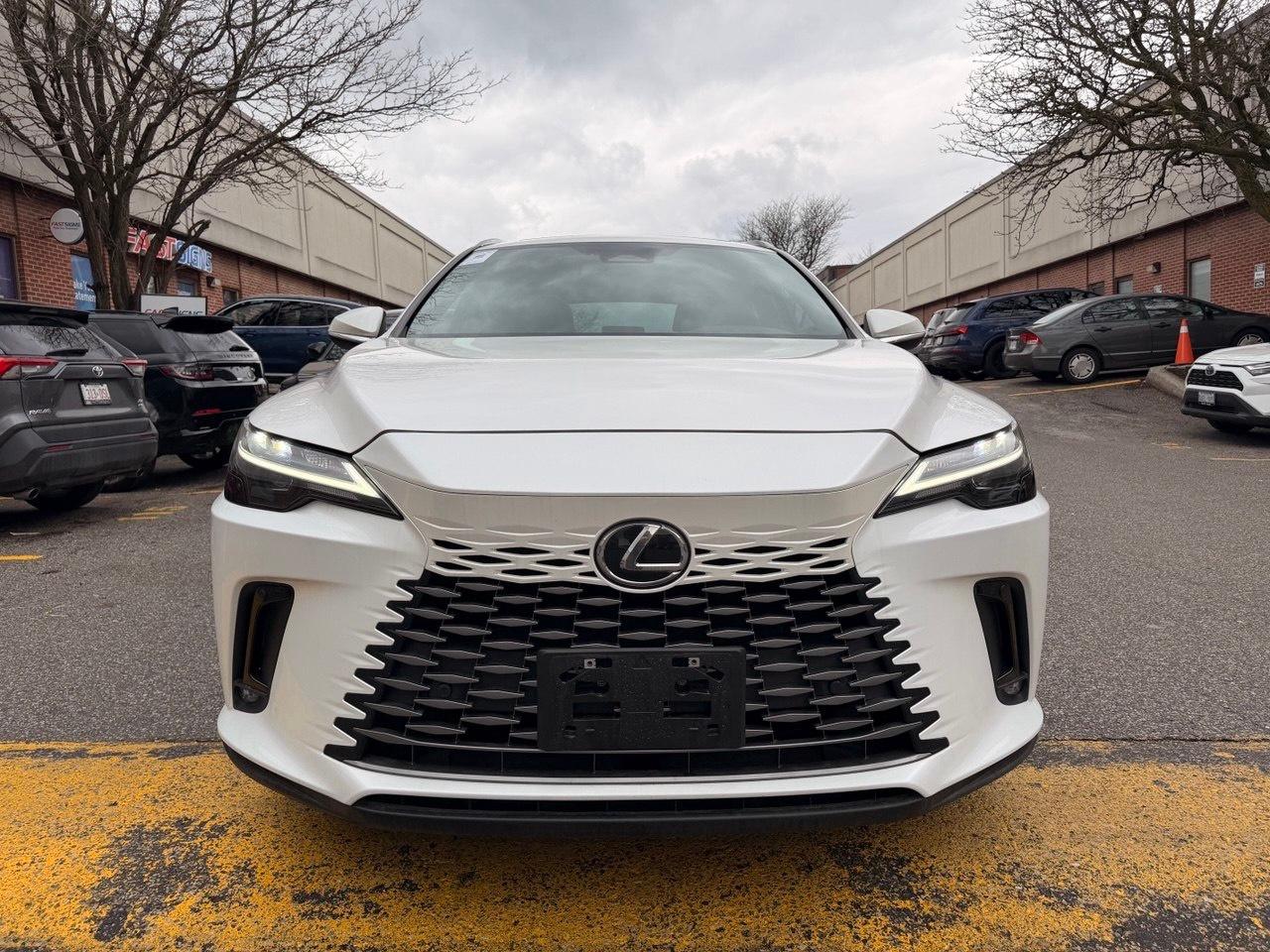 2023 Lexus RX RX 350h Auto Photo