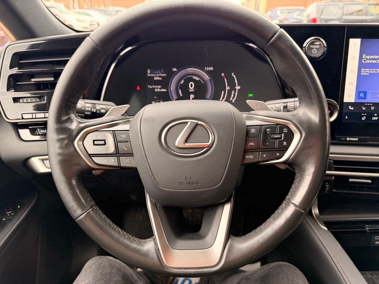 2023 Lexus RX RX 350h Auto Photo