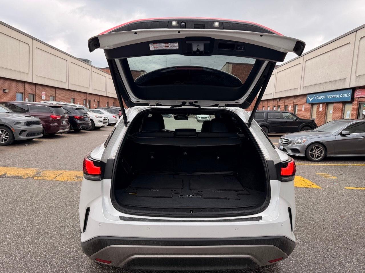 2023 Lexus RX RX 350h Auto Photo