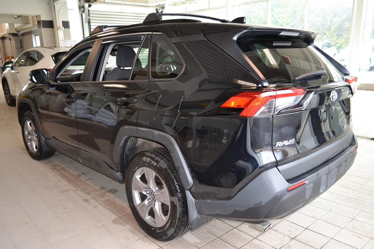 2024 Toyota RAV4 XLE Photo