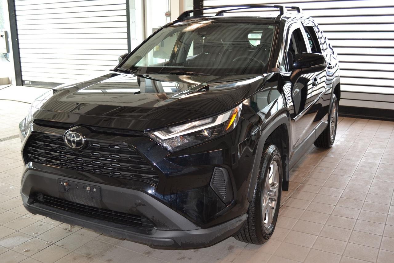 2024 Toyota RAV4 XLE Photo