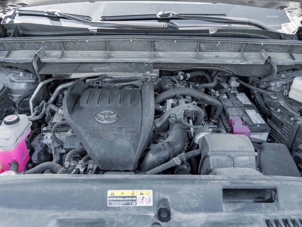 2024 Toyota Highlander  Photo
