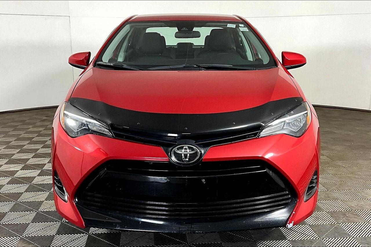 2019 Toyota Corolla LE CVT Photo