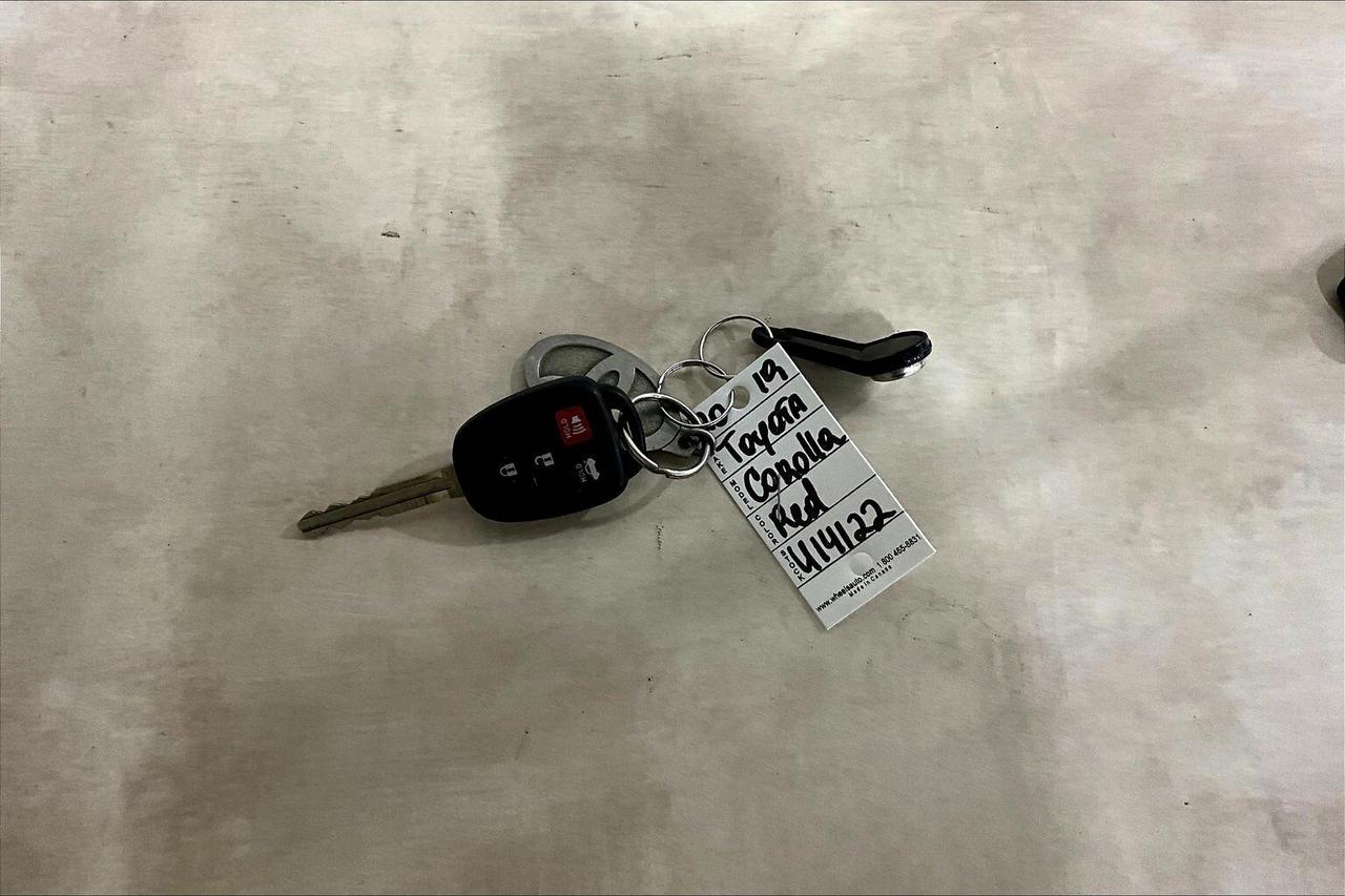 2019 Toyota Corolla LE CVT Photo