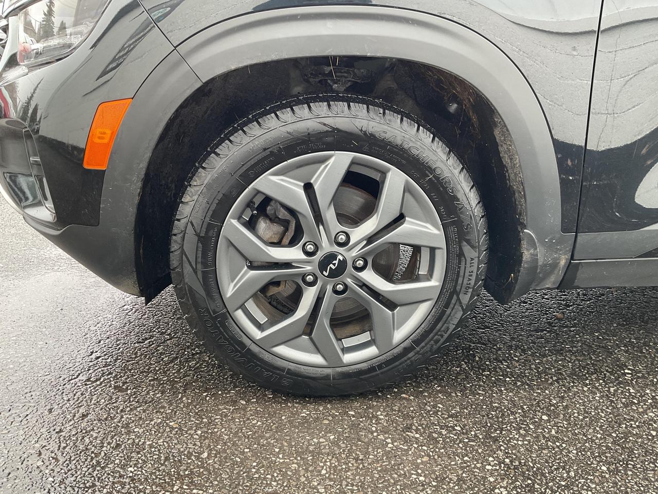 2024 Kia Seltos  Photo