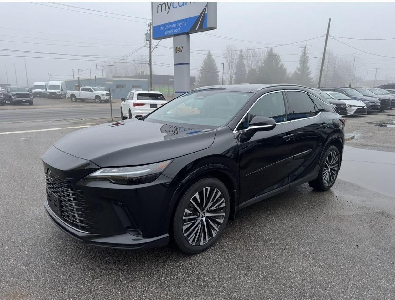 2024 Lexus RX 350H Base 4dr All-Wheel Drive Photo