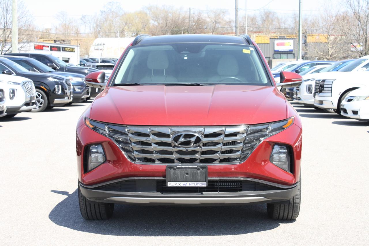 2024 Hyundai Tucson Hybrid Ultimate AWD Photo