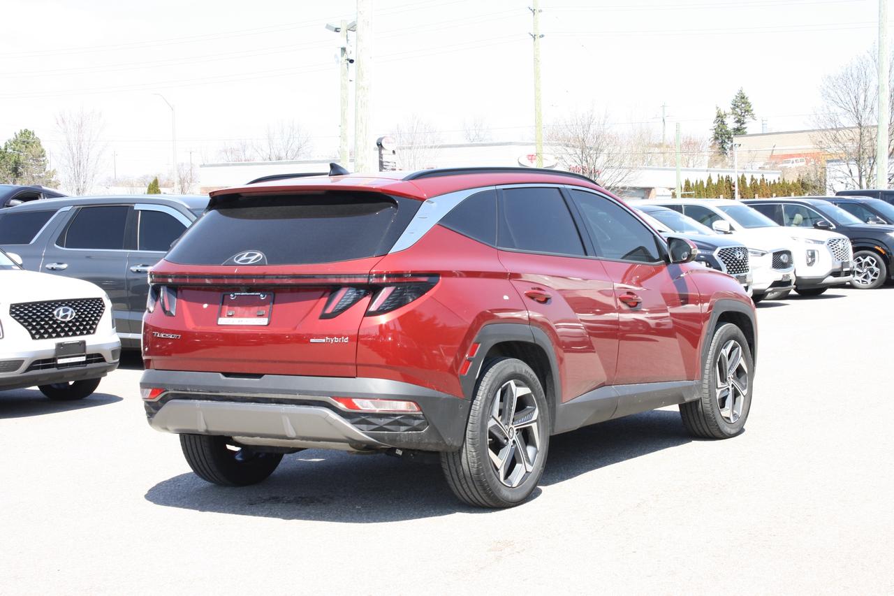 2024 Hyundai Tucson Hybrid Ultimate AWD Photo