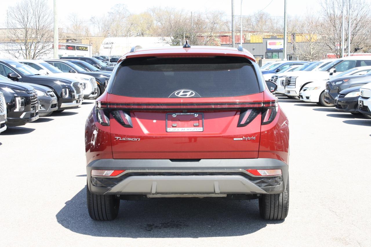 2024 Hyundai Tucson Hybrid Ultimate AWD Photo