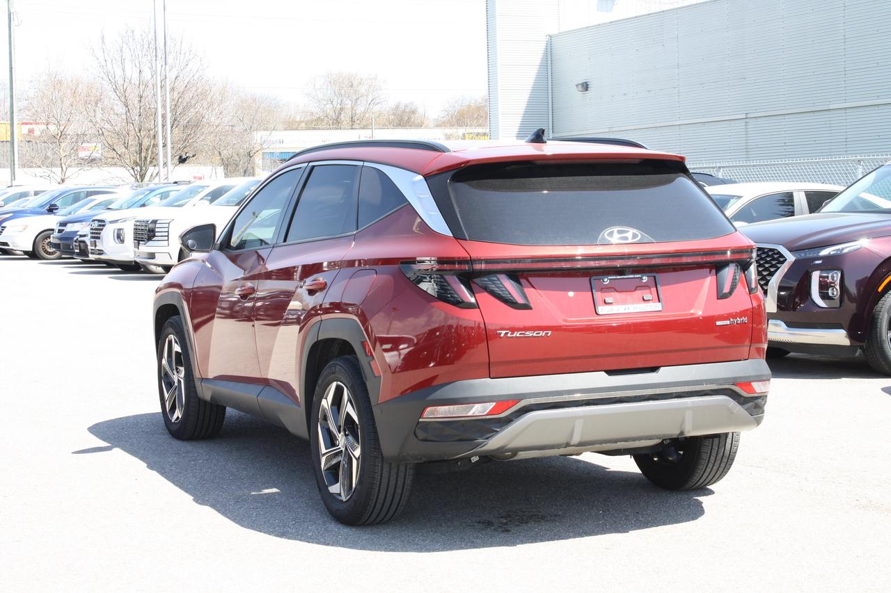 2024 Hyundai Tucson Hybrid Ultimate AWD Photo