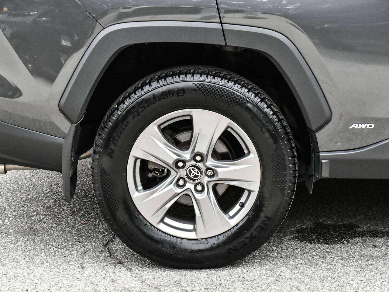 2025 Toyota RAV4 Hybrid LE 4dr All-Wheel Drive Photo