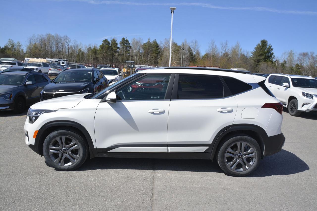 2023 Kia Seltos EX FWD Photo