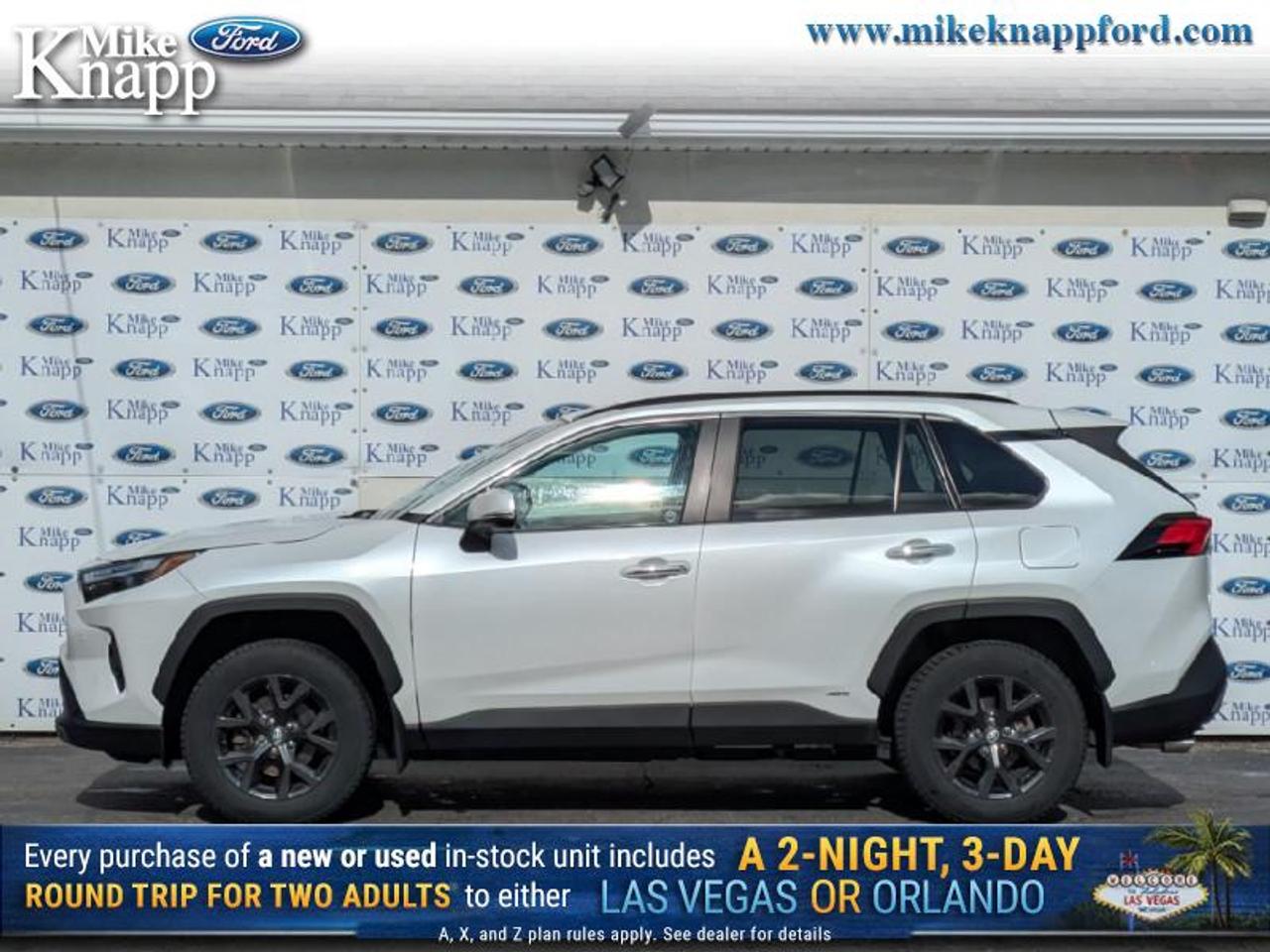 2024 Toyota RAV4 LIMITED  Photo