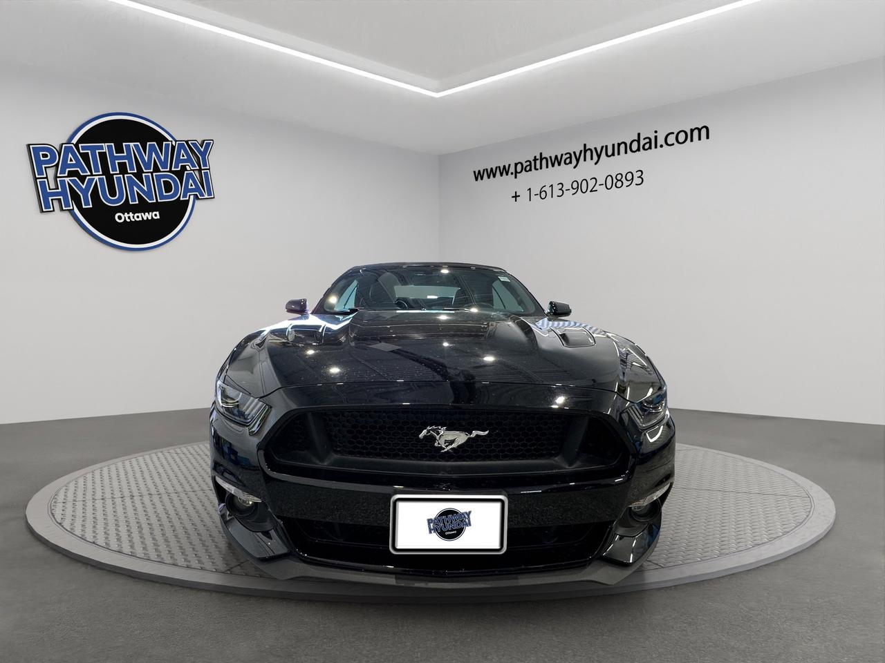 2015 Ford Mustang GT Premium Photo