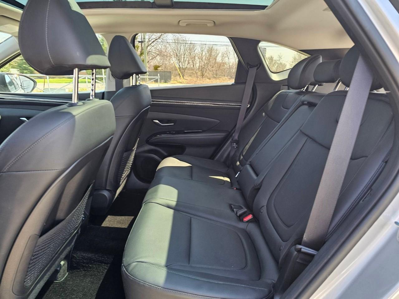 2024 Hyundai Tucson Hybrid Luxury 4dr All-Wheel Drive Photo