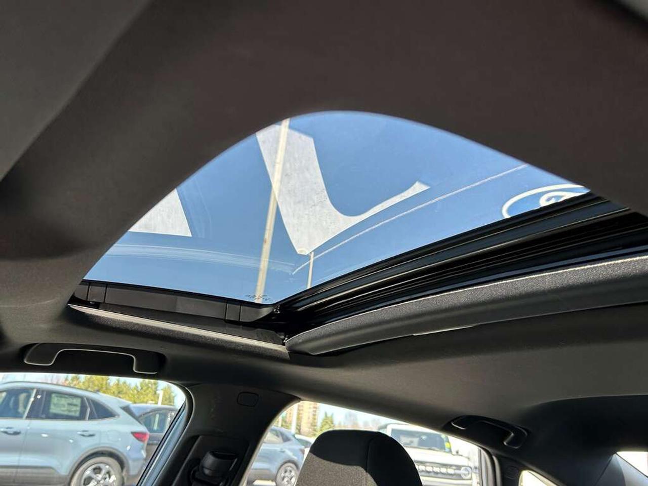 2023 Honda Civic  Photo