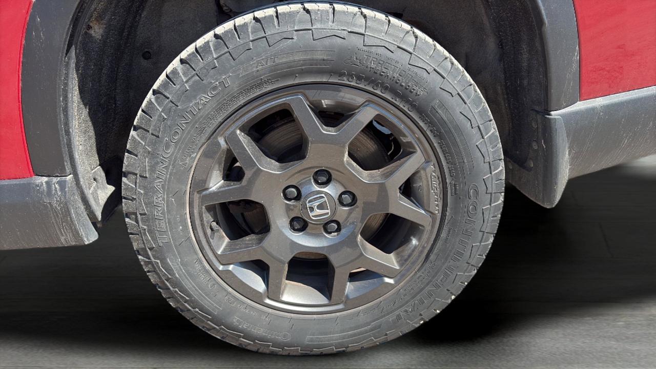 2024 Honda Pilot  Photo