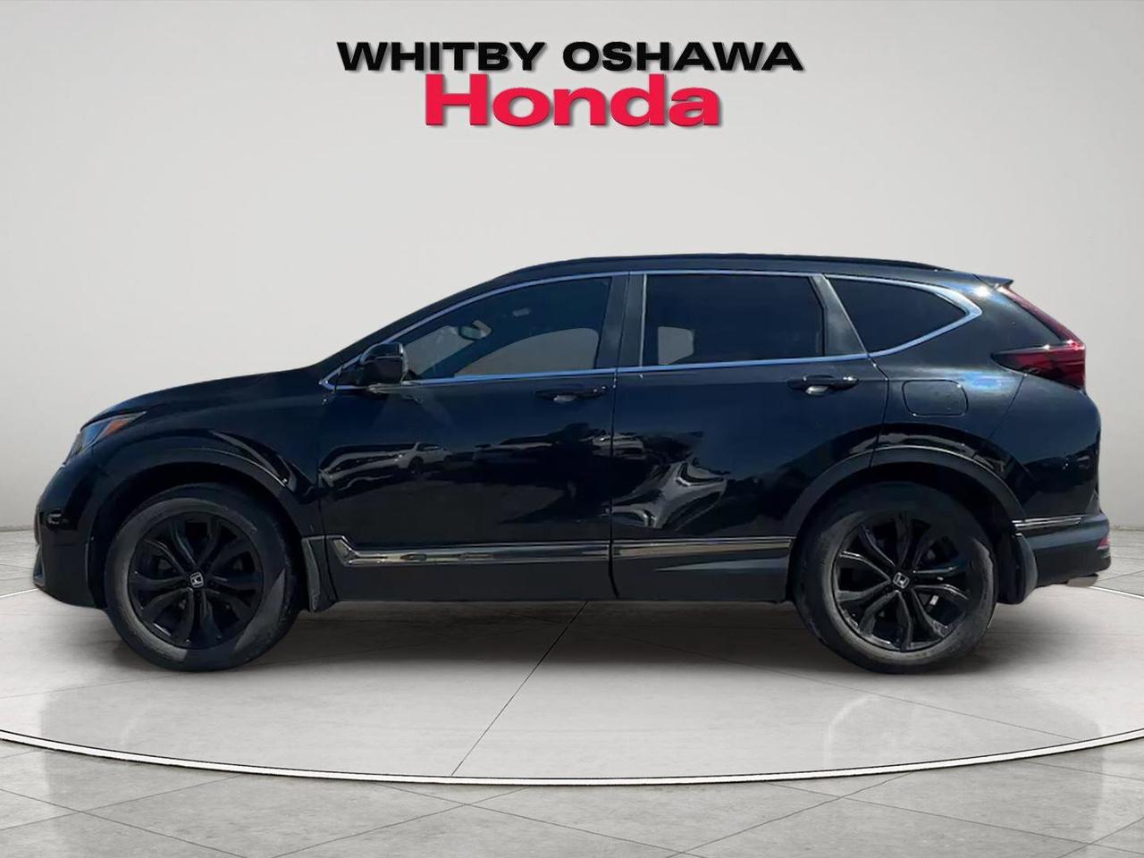 2020 Honda CR-V  Photo