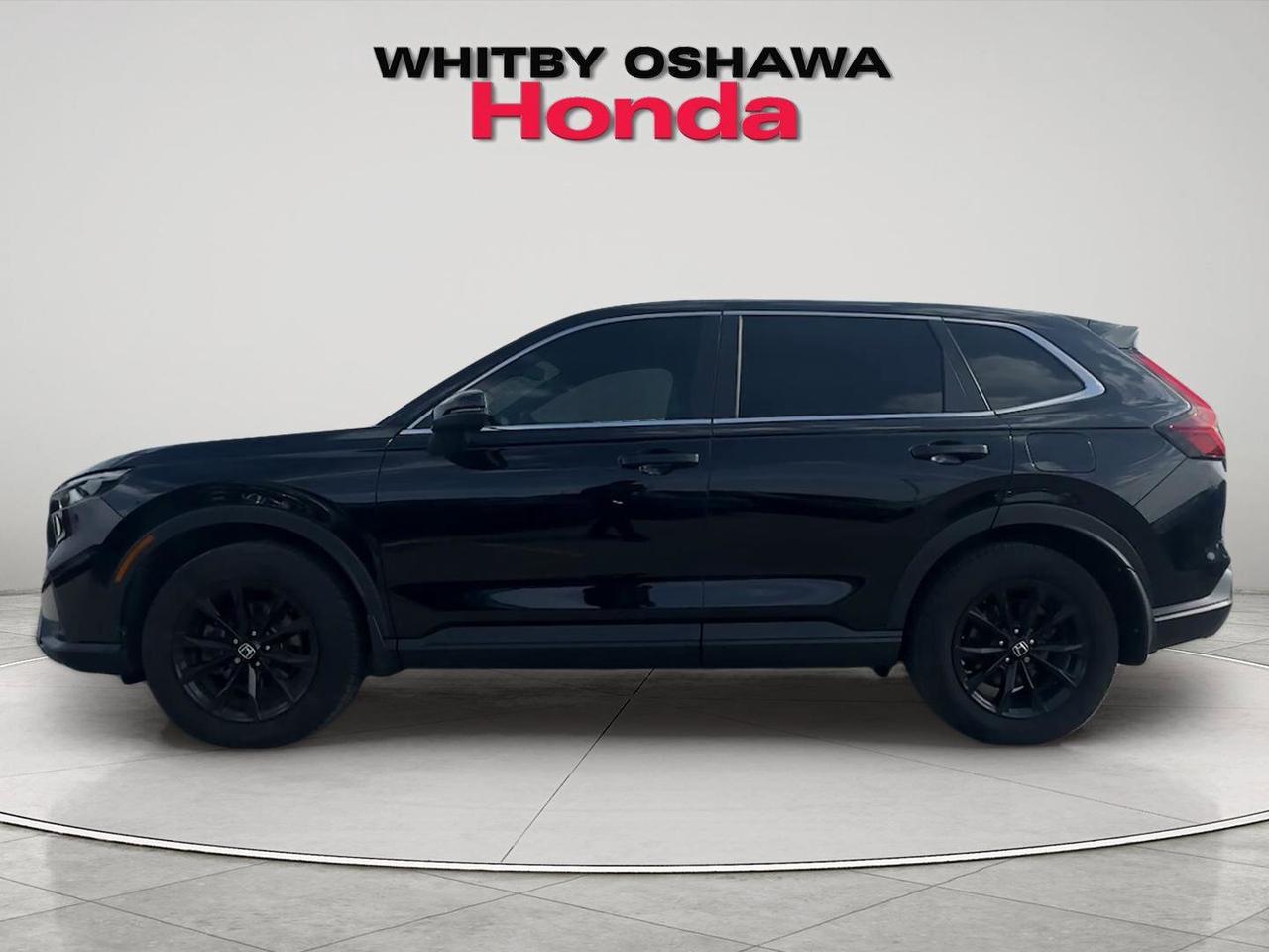 2025 Honda CR-V Hybrid EX-L AWD Photo