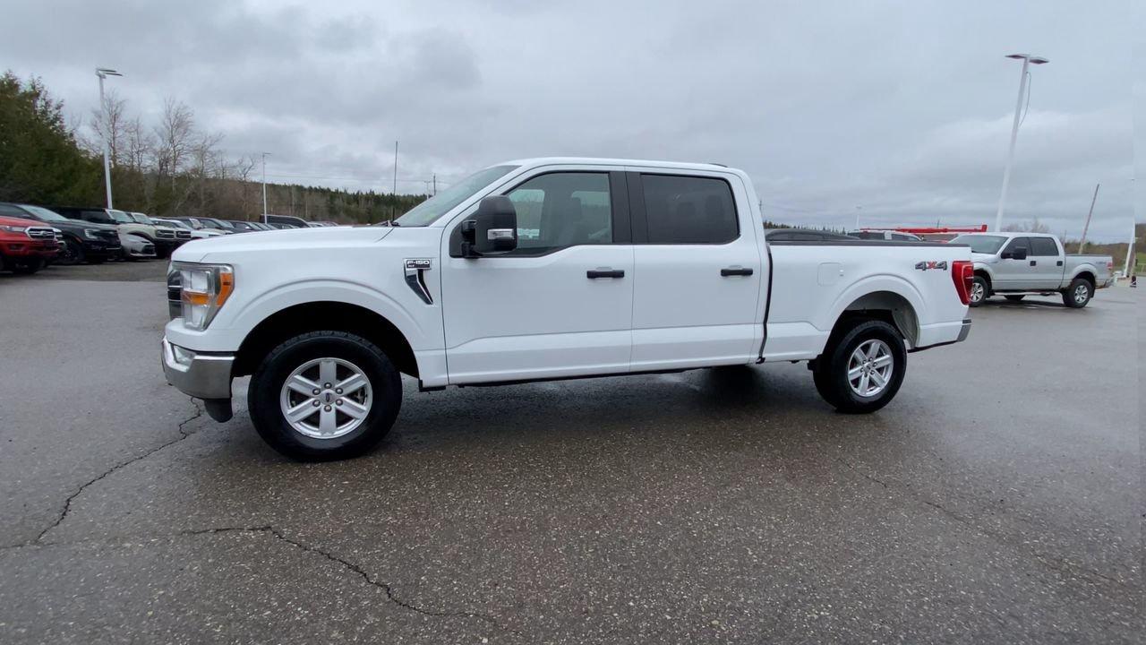 2022 Ford F-150 XLT Photo4