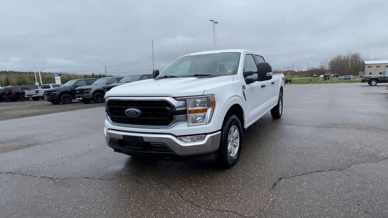 2022 Ford F-150 XLT Photo