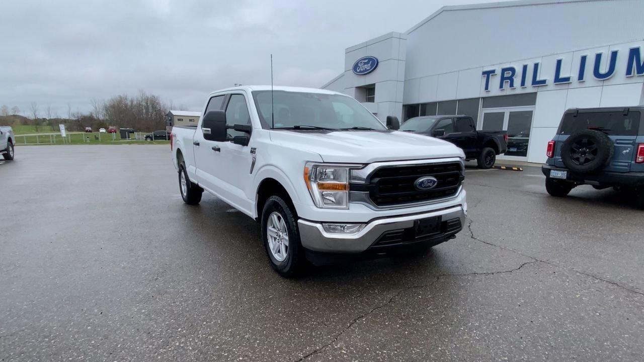 2022 Ford F-150 XLT Photo
