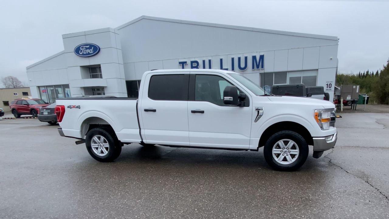 2022 Ford F-150 XLT Photo