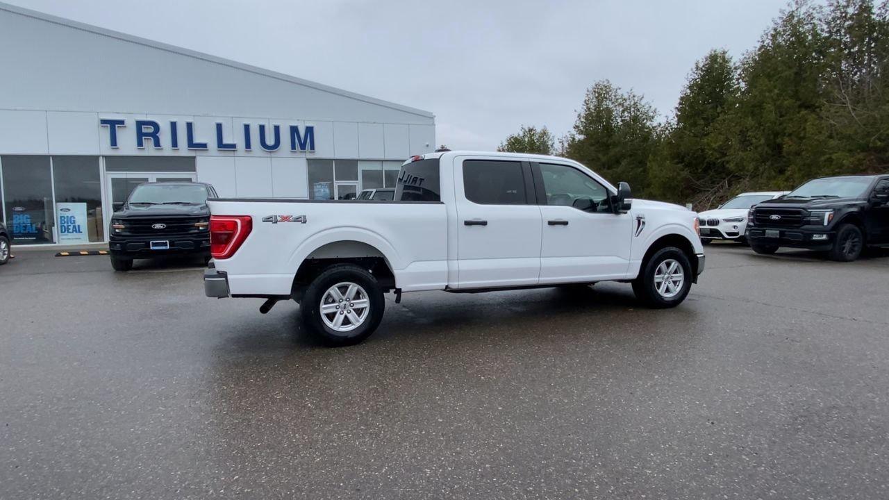 2022 Ford F-150 XLT Photo