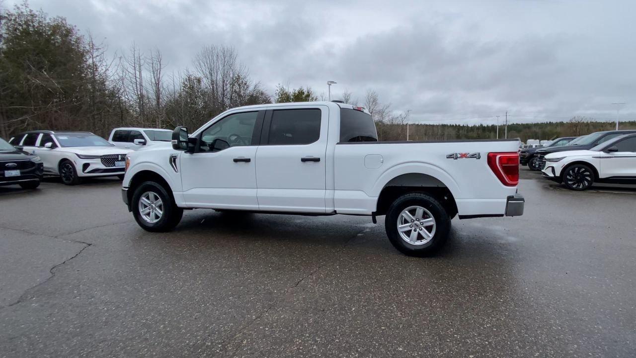 2022 Ford F-150 XLT Photo