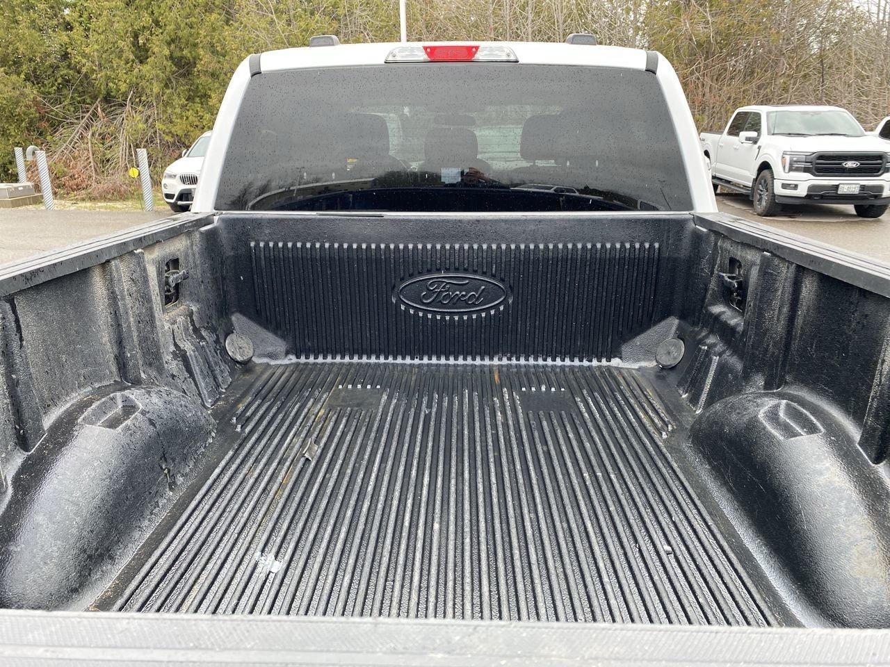 2022 Ford F-150 XLT Photo