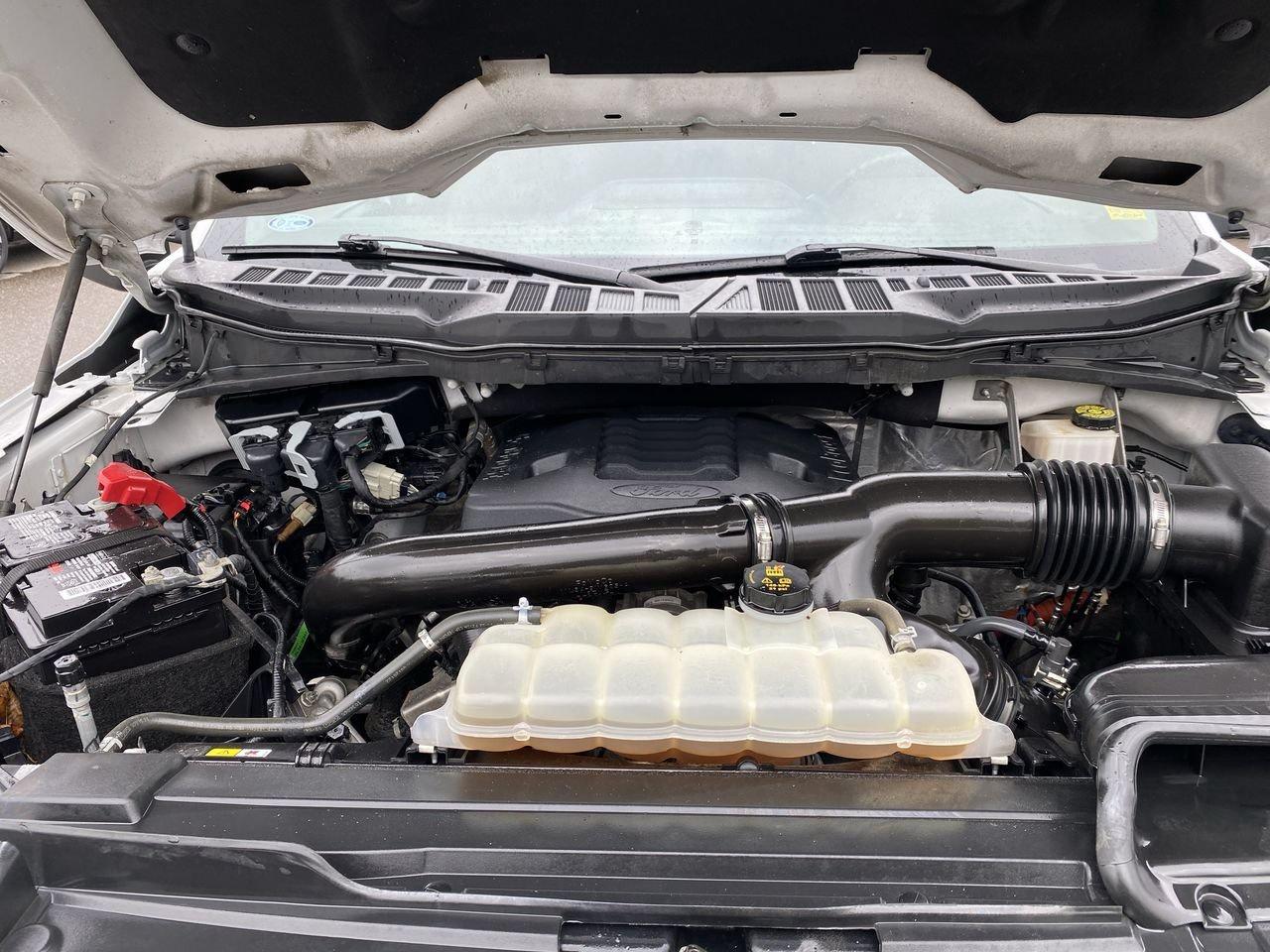 2022 Ford F-150 XLT Photo