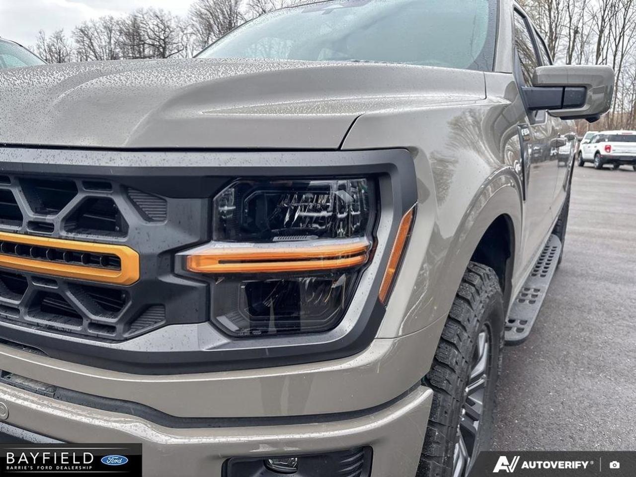 2026 Ford F-150 Tremor Photo
