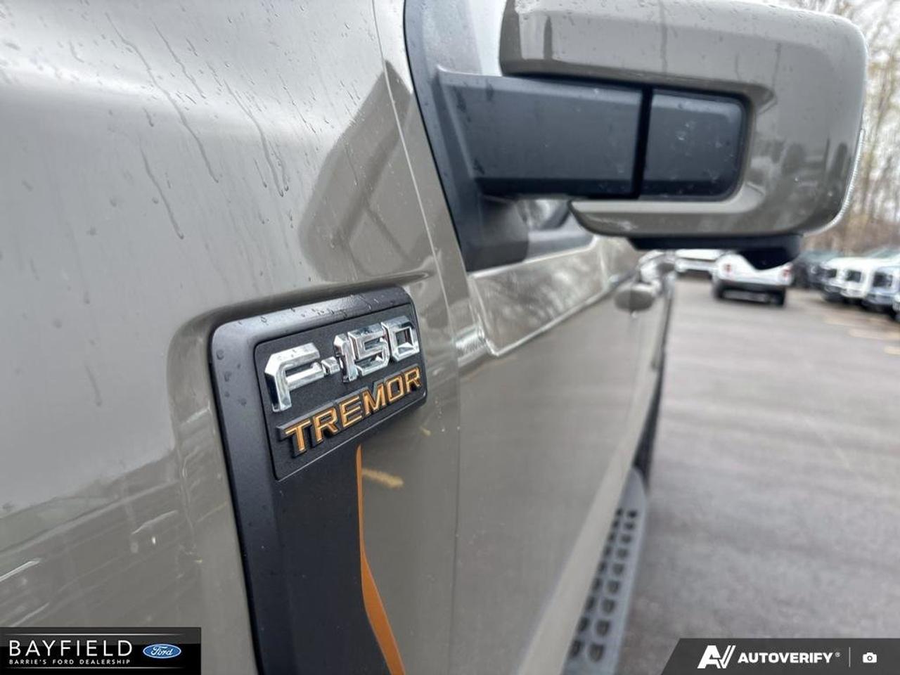 2026 Ford F-150 Tremor Photo